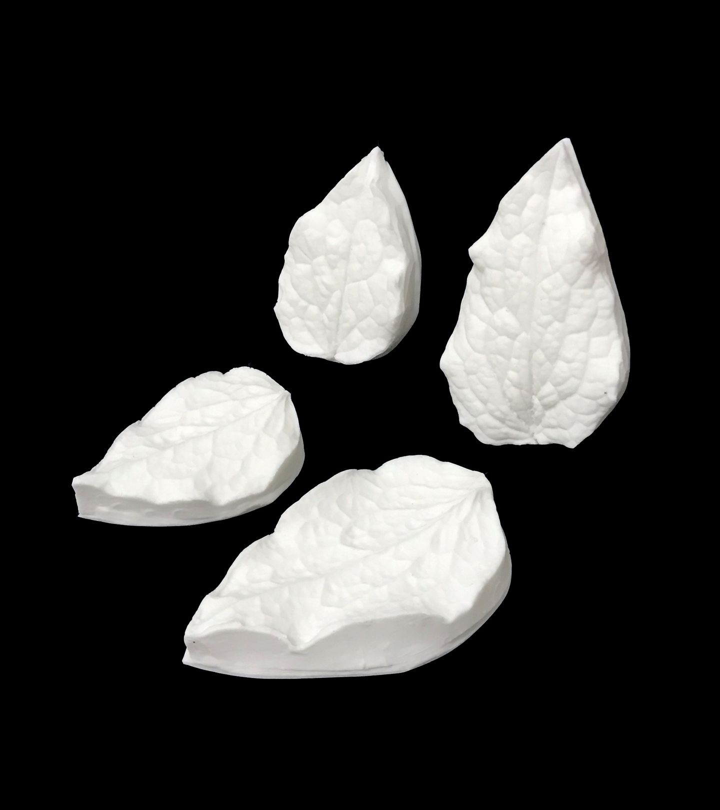 Texturizador - Conjunto de Folhas Clematis - PL001