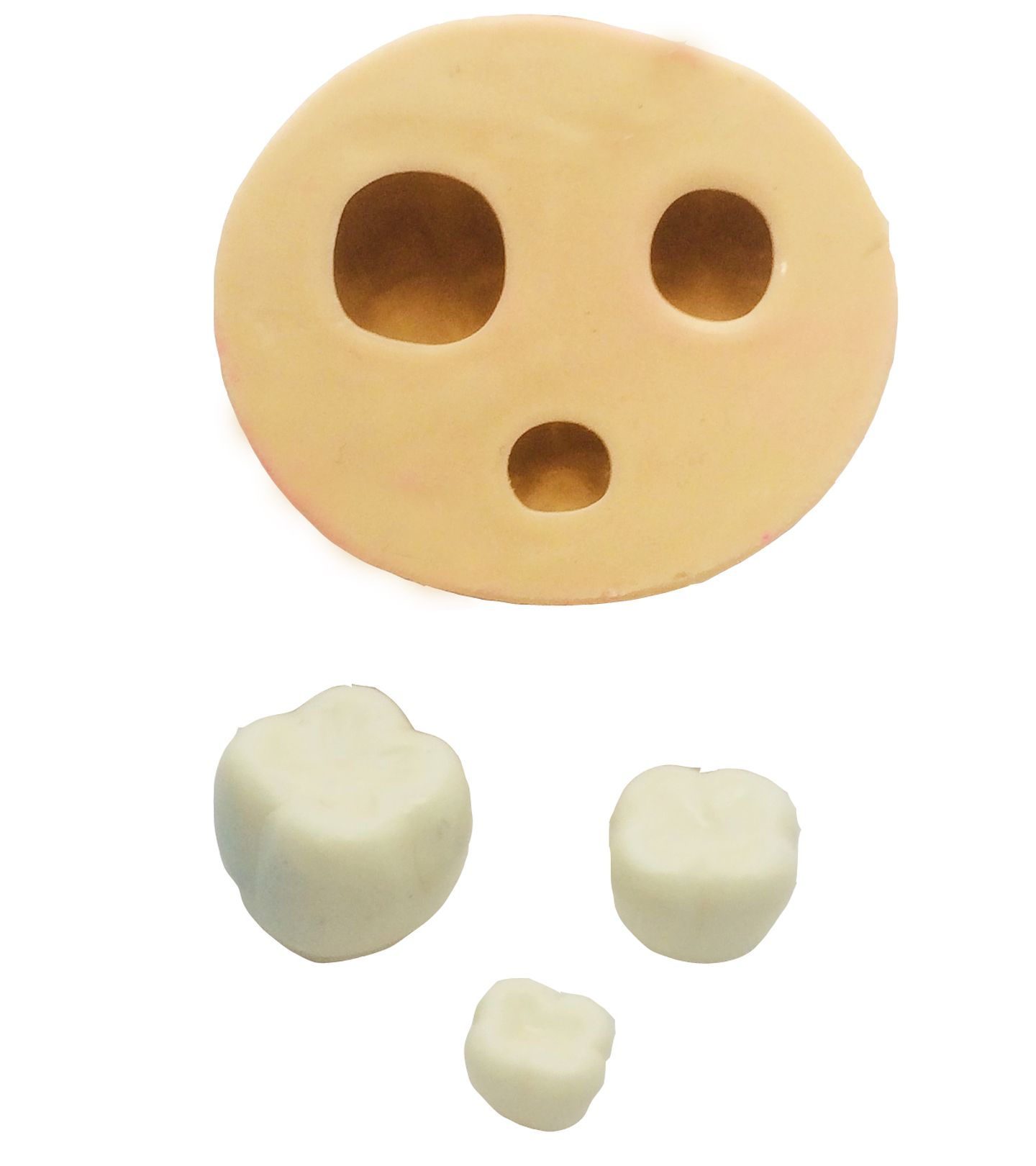 Dentes Molares - 03 Tamanhos - P392